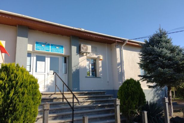 primaria istria este dispusa sa dea peste 130 000 de euro pentru contractul de furnizare a sandvich urilor elevilor si prescolarilor din comuna cine a castigat din 2022 incoace acest contract 698d53ef41bef