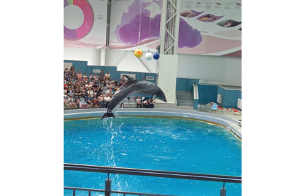 primaria si consiliul local cumpana asigura transport gratuit pentru 1 200 de elevi acestia vor vizita microrezervatia si delfinariul din constanta 699eafb61f244