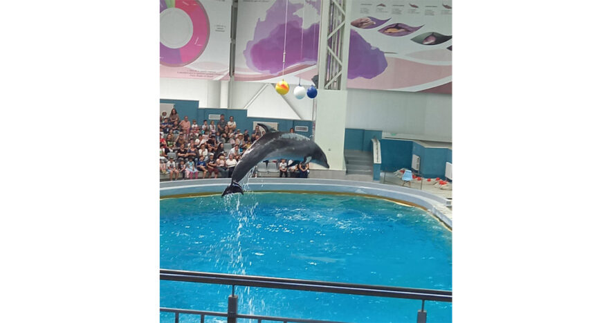 primaria si consiliul local cumpana asigura transport gratuit pentru 1 200 de elevi acestia vor vizita microrezervatia si delfinariul din constanta 699eafb61f244