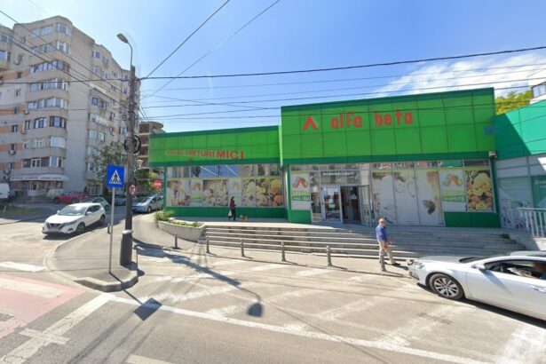 proprietarul magazinelor alfa beta insista sa puna mana pe un teren din zona coiciu istoria se repeta si in al doilea dosar 69904ca18b60c