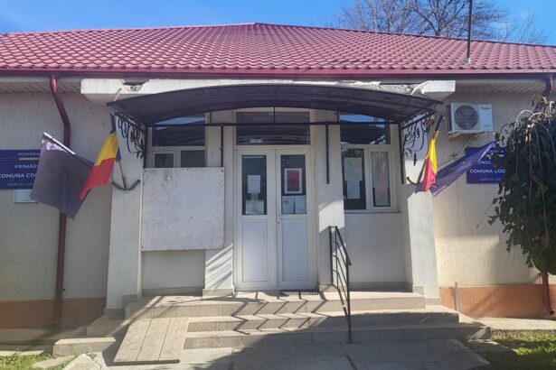 raport exploziv al camerei de conturi constanta privind societatea de apa din cogealac incasari in numerar apa nefacturata si functionare fara licenta valabila 699bd477b7e2b