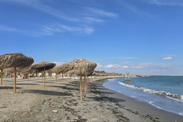 rasturnare de situatie primaria constanta ar putea pastra o plaja de 8 milioane de euro cazul se rejudeca vezi aici minuta 698c72f296bd0