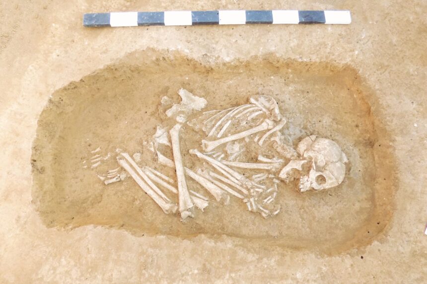 un studiu adn a dezvaluit boala rara de care suferea o adolescenta care traia in italia acum 12 000 de ani 697fc9131934e