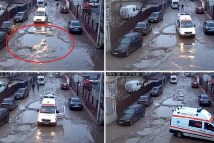 video sosele distruse localnici revoltati judetul in care o ambulanta in misiune s a rupt in gropile de pe drum a plecat stricata cu ea 6982efbe34806