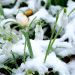 vremea in dobrogea saptamana aceasta trecem de la ger la temperaturi de primavara 6980cde626fd2