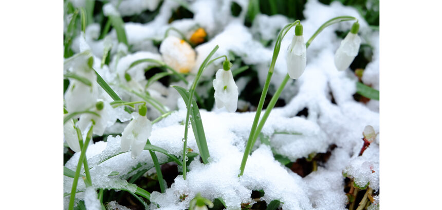 vremea in dobrogea saptamana aceasta trecem de la ger la temperaturi de primavara 6980cde626fd2