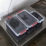 19 kg de icre negre descoperite in judetul constanta de politistii garzii de coasta 69bbf480e2ab8