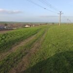 a fost lansata platforma elicitatiianaf un teren din mihail kogalniceanu disponibil online 69cae41898b1c