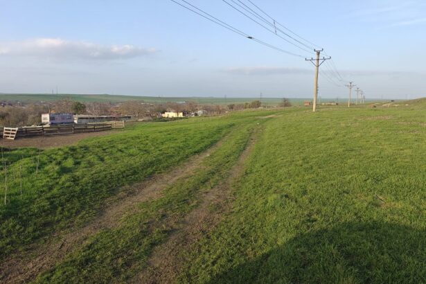 a fost lansata platforma elicitatiianaf un teren din mihail kogalniceanu disponibil online 69cae41898b1c