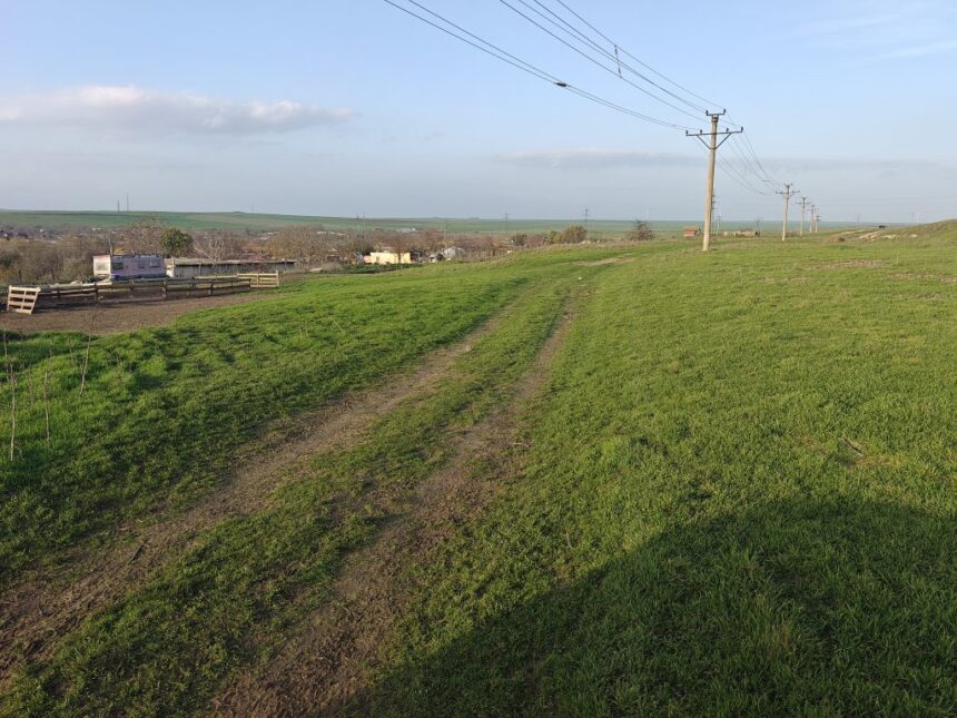 a fost lansata platforma elicitatiianaf un teren din mihail kogalniceanu disponibil online 69cae41898b1c