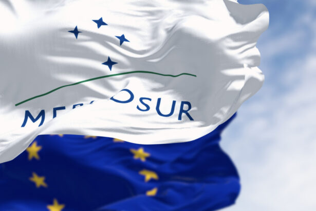 acordul ue mercosur va fi aplicat provizoriu de la 1 mai 2026 ce presupune masura 69c15d319c35a