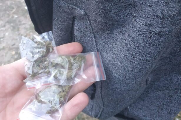 afaceri in fata hotelului malibu de la intrare in mamaia declaratia completa a unui traficant de la telegram la 200 de lei gramul 69a95929916a8