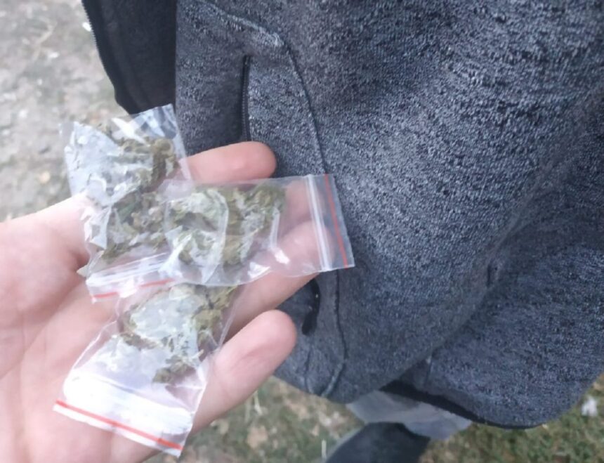 afaceri in fata hotelului malibu de la intrare in mamaia declaratia completa a unui traficant de la telegram la 200 de lei gramul 69a95929916a8