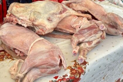 ampla actiune de control in targul de pe varianta ovidiu sute de kilograme de produse alimentare confiscate 69c90ae31645b