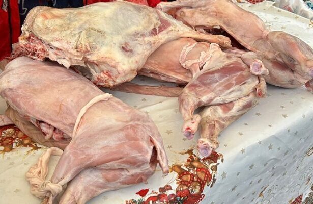 ampla actiune de control in targul de pe varianta ovidiu sute de kilograme de produse alimentare confiscate 69c90ae31645b