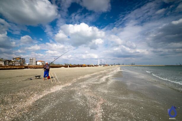 anar a reluat licitatiile pentru 10 sectoare de plaja din navodari si alte 92 in alte statiuni 69cc415026b57