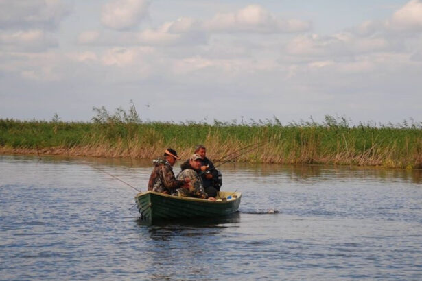 aproape 40 dintre pescarii din delta dunarii risca sa ramana fara autorizatie exista suspiciuni de pescuit la negru 69c809db19f30