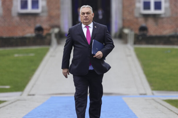 ar fi trebuit sa astepte rezultatul alegerilor temeri in randul criticilor europeni ai lui orban ue a cazut intr o capcana 69bfca2d945ec