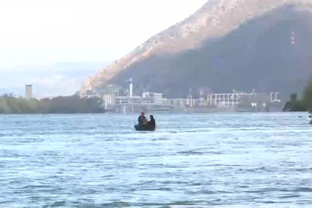 bulgaria si romania vor monitoriza poluarea pe dunare cu ajutorul inteligentei artificiale 69c17398a4a20