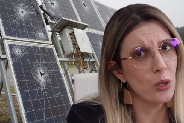 buzoianu mediu reteaua electrica nationala nu mai poate absorbi energia generata de panourile fotovoltaice iar sistemele de stocare in baterii sunt finantate insuficient 69c3c2dcb999a
