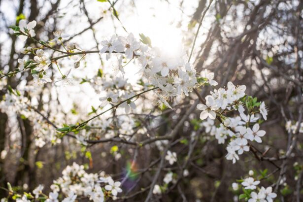 ce se intampla in creier atunci cand ziua devine cu doar 20 de minute mai lunga 69c1496e2756c