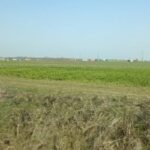 ce spun politistii despre accidentul mortal produs intre localitatile movilita si topraisar judetul constanta 69b93214427ad