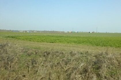 ce spun politistii despre accidentul mortal produs intre localitatile movilita si topraisar judetul constanta 69b93214427ad