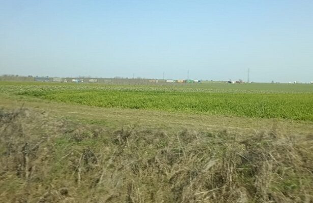 ce spun politistii despre accidentul mortal produs intre localitatile movilita si topraisar judetul constanta 69b93214427ad