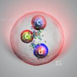 cern a descoperit o noua particula dupa modernizarea acceleratorului de particule large hadron collider 69bbaf4f8ccda