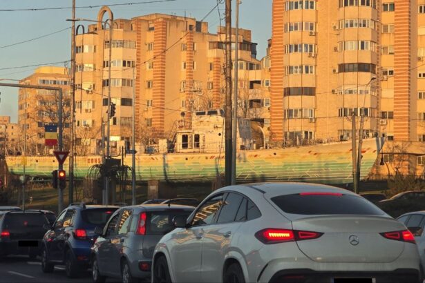 cine a cumparat vaporasele de la intrarile din constanta 69b043a85c4f0