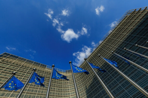 comisia europeana vrea sa modifice legislatia europeana privind siguranta chimicalelor eludand parlamentul 69bafec182a05