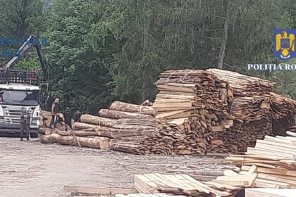 consiliul judetean constanta ar putea deveni parte civila intr un dosar de furt de lemn din padurea coslugea 69c079f60ead7