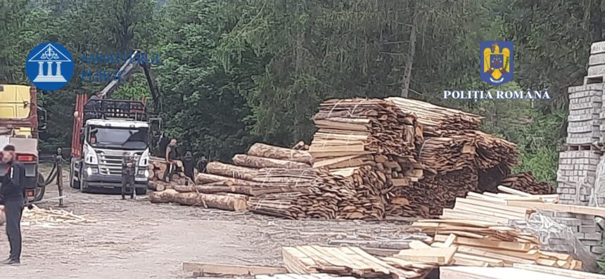 consiliul judetean constanta ar putea deveni parte civila intr un dosar de furt de lemn din padurea coslugea 69c079f60ead7