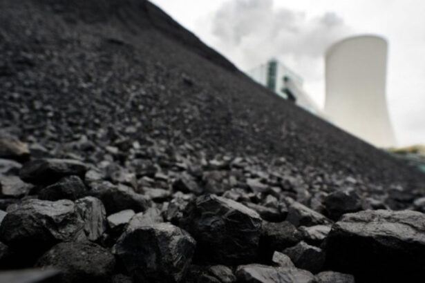 criza energetica ar putea obliga germania sa mentina centralele pe carbune in functiune mai mult timp afirma cancelarul merz 69c6dc5f8e456