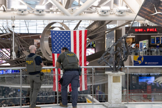 criza in transportul aerian din sua agenti ice trimisi pe 14 aeroporturi pe fondul blocajului bugetar 69c1b5e3bffb8