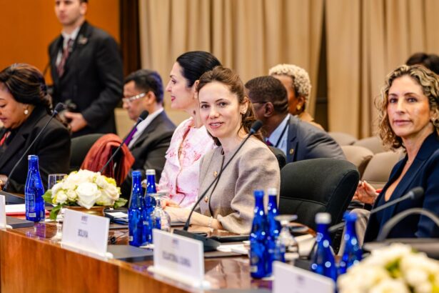 cum s a imbracat mirabela gradinaru la summitul organizat de melania trump la washington tinuta ei a atras toate privirile 69c3b393540f0