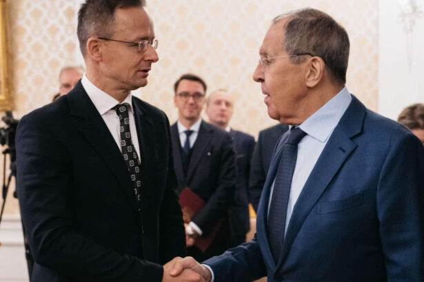 cum s ar putea amesteca moscova in alegerile din ungaria peter szijjarto refugiu in rusia daca fidesz pierde presa 69c61e69dccae