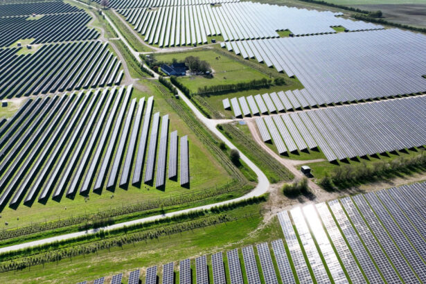 da lanurilor de grau nu campurilor de fier cum li s a luat danezilor de atata energie solara tara este cea mai ecologica din lume 69bfdc93e1bec