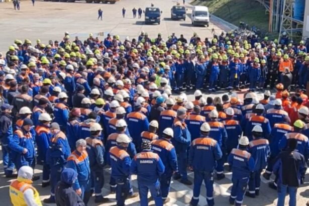 damen a respins planul de reorganizare al santierului naval mangalia iar procedura de faliment urmeaza sa fie deschisa 69c40fb6ddff8