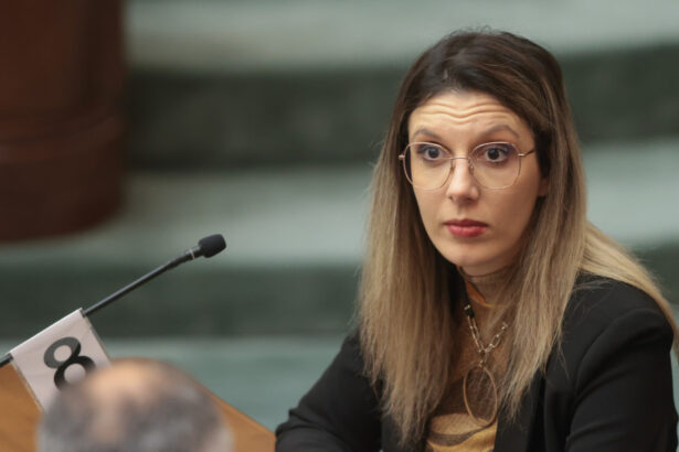 diana buzoianu a depus un proiect in parlament hartuirea sexuala pedepsita chiar si fara relatie de munca intre victima si agresor 69c541216c27a