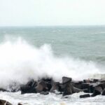 dobrogea sub cod galben de vant 69bd0a407098e