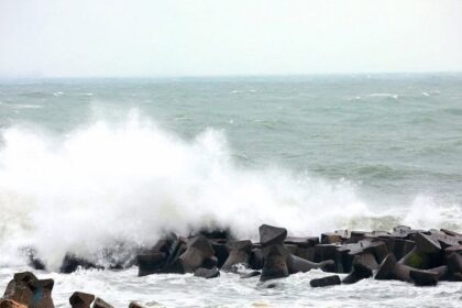 dobrogea sub cod galben de vant 69bd0a407098e