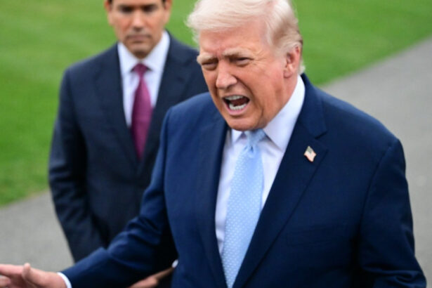 donald trump omagiu la moartea lui chuck norris nu ti venea sa te pui cu el 69c13b09a2bf2