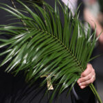 duminica floriilor 2026 la catolici cum se sarbatoreste intrarea domnului in ierusalim traditii si obiceiuri pe 29 martie 69c8be15badb1