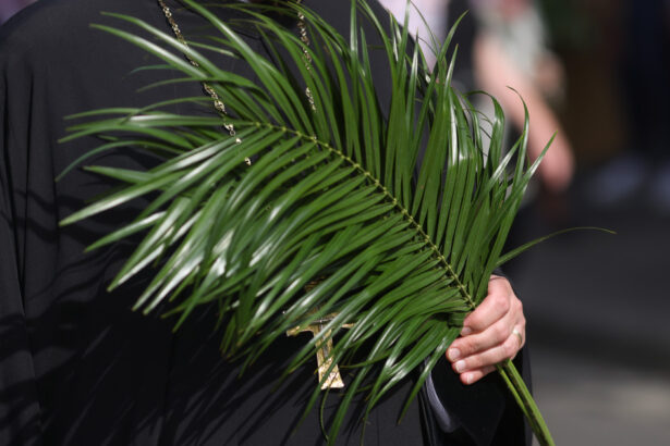 duminica floriilor 2026 la catolici cum se sarbatoreste intrarea domnului in ierusalim traditii si obiceiuri pe 29 martie 69c8be15badb1