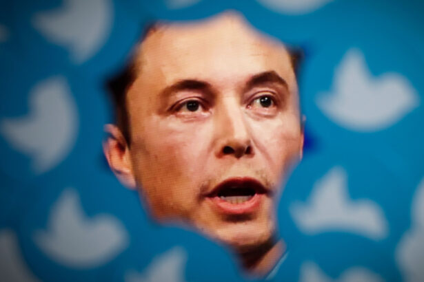 elon musk a indus in eroare investitorii twitter decizia unui juriu din san francisco si implicatiile sale 69be550dba63a