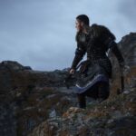 energizantele razboinicilor ce consumau vikingii incasii si legiunile romei pentru a rezista in lupta si in marsuri infernale 69c1499ad6015