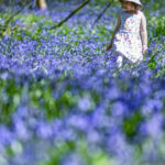 estimari meteo pentru aprilie perioada in care va fi mai cald decat de obicei si va ploua mai mult 69cb768fcb2ec