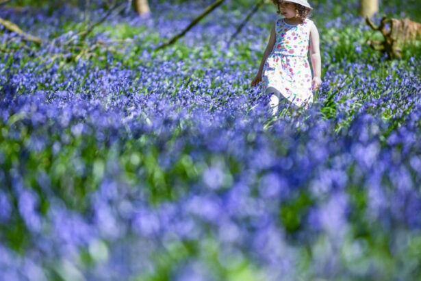 estimari meteo pentru aprilie perioada in care va fi mai cald decat de obicei si va ploua mai mult 69cb768fcb2ec