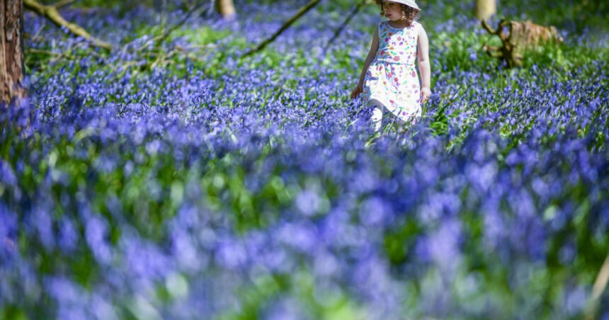 estimari meteo pentru aprilie perioada in care va fi mai cald decat de obicei si va ploua mai mult 69cb768fcb2ec